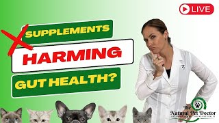 Behind the Label: Are You Using Supplements That Are Harmful To Your Pet's Gut Health