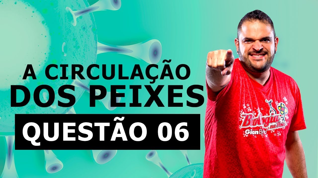 A CIRCULAÇÃO DOS PEIXES   Lista 22   QUESTÃO 06
