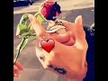 اه علقني فيك وناسني وعيوني مشتاك العين