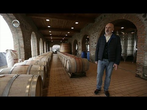 \"იმედის კვირის\" რუბრიკა \"ეტსეტერა\" სილქროუდ ჯგუფის ახალ პროექტს წარმოგიდგენთ