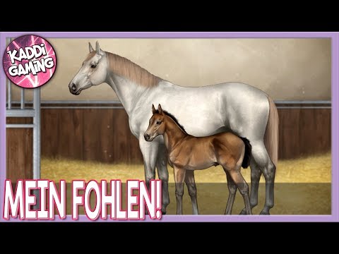 Mein erstes Fohlen ist da!!? ? Equine Passion #6