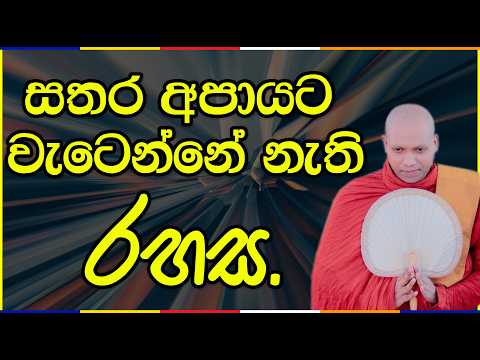 සතර අපායට වැටෙන්නේ නැති රහස | Hasalaka Seelawimala Thero | short 3171