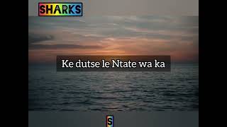 Brenda Fassie   Hara Lebitla Laka S