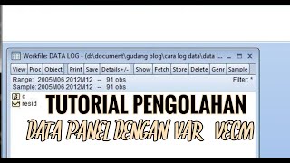 Tutorial Pengolahan Data Panel Dengan VAR / VECM Menggunakan Eviews