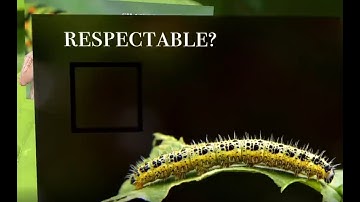 Analysis of "this song is not a metaphor"