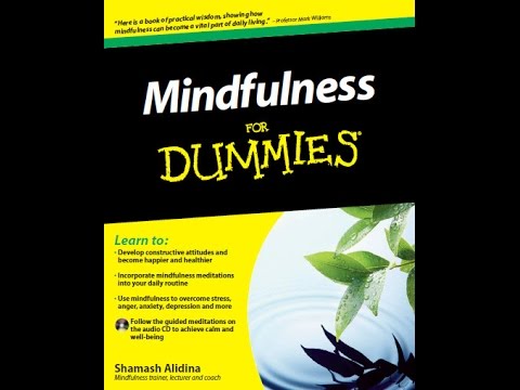 Mindfulness for Dummies author advises deep thought! INTERVIEW