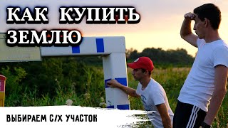 Как выбрать землю сельхозназначения? Пытаемся купить участок на 6 гектар