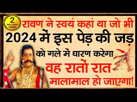 वीडियो: इस ग्रीष्मकालीन सबसे विस्मयकारी महोत्सव आपको अपने कुत्ते को लाने और खिलौनों के साथ खेलने देगा