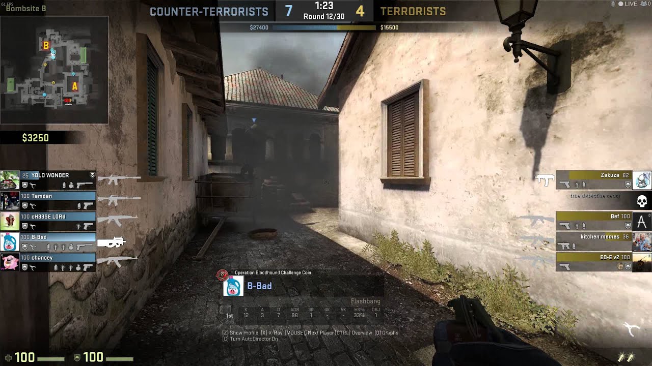 CS:GO Flash Bang Kill - YouTube