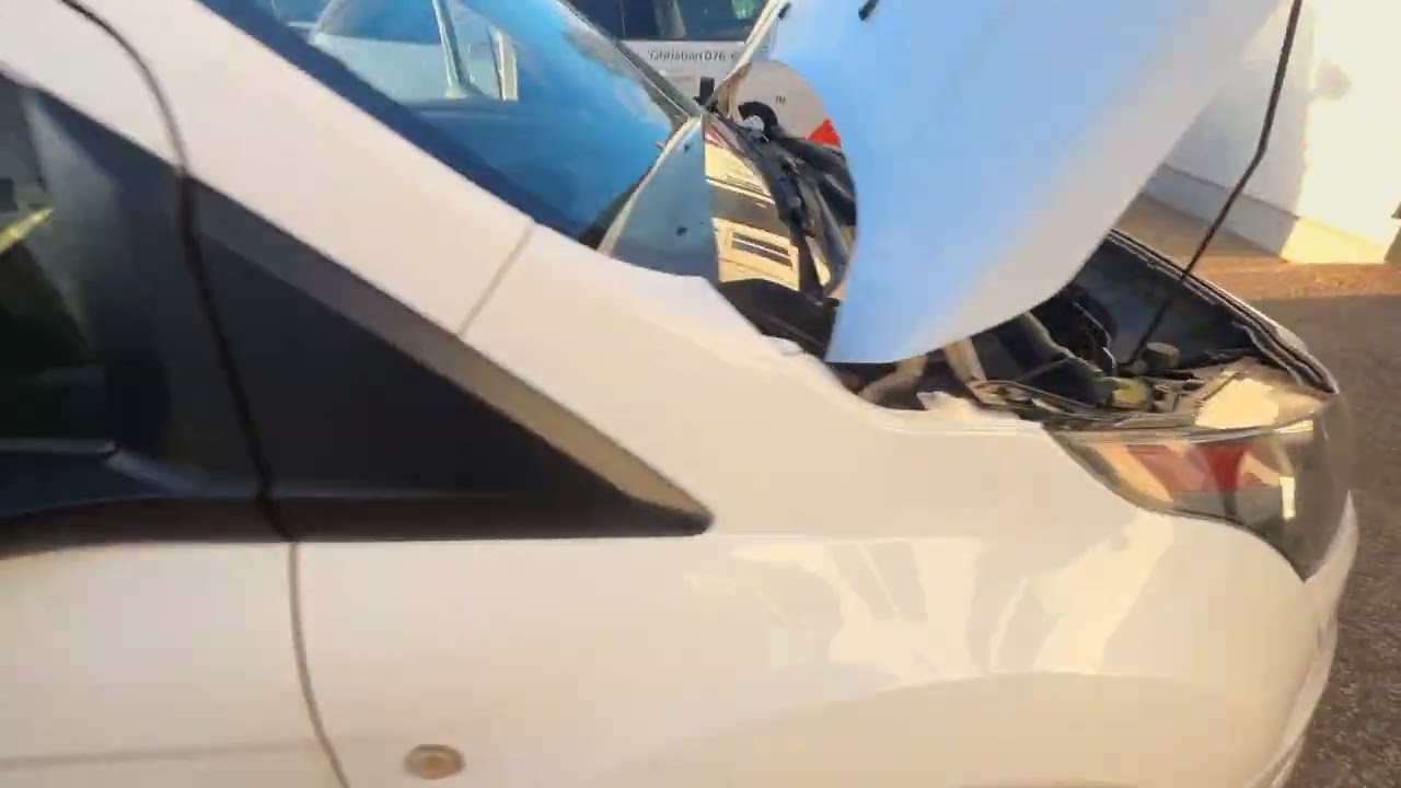 Lätt lastbil FORD Transit Connect