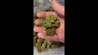 Cheapest Price Alerts (Not Quality): THCA Bulk Flower + Concentrates News
