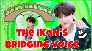 Jung Chanwoo: The iKON's Bridging Voice [ENG/ESP Sub] #iKON #아이콘