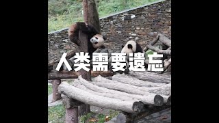 201810 人类需要遗忘50797