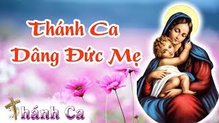 Thánh Ca Mùa Hoa Dâng Mẹ - Tiếng Hát Hoàng Oanh - Cung Chúc Trinh Vương | Thánh Ca Tuyển Chọn