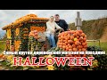 Самый крутой деревенский магазин на HALLOWEEN