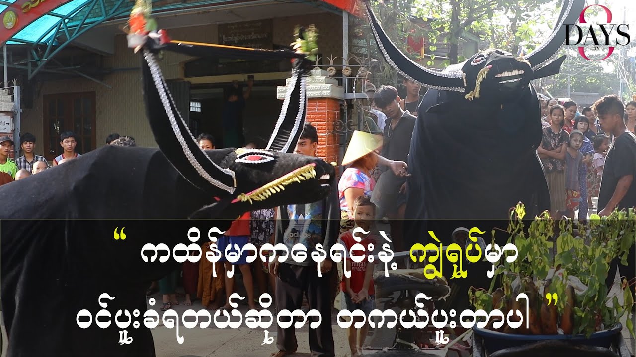 ကထိန်မှာ ကနေရင်းနဲ့ ကျွဲရုပ်မှာ ဝင်ပူးခံရတယ်ဆိုတာ တကယ်ပူးတာပါ