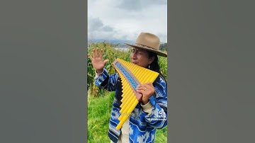 Thumbnail of Kazakh song "Zhurek". #song