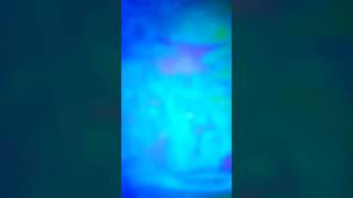 Klasky Csupo In 4Ormulator 4Ormulator Collection 1-8