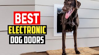 ✅Top 5 Best Electronic Dog Doors in 2023