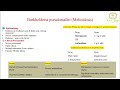 Burkholderia pseudomallei (Melioidosis)