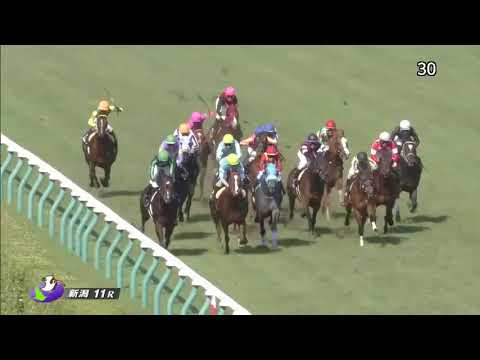 2018/05/20 新潟11R 韋駄天ステークス [ダイメイプリンセス]