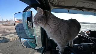 видео: продолжение рабочих будней картинка: продолжение рабочих будней