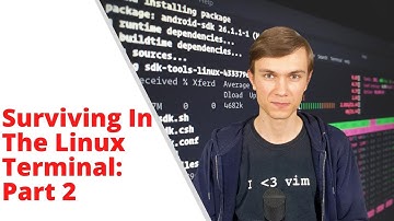 Surviving in the Terminal: Intermediate and Advanced Workflows!