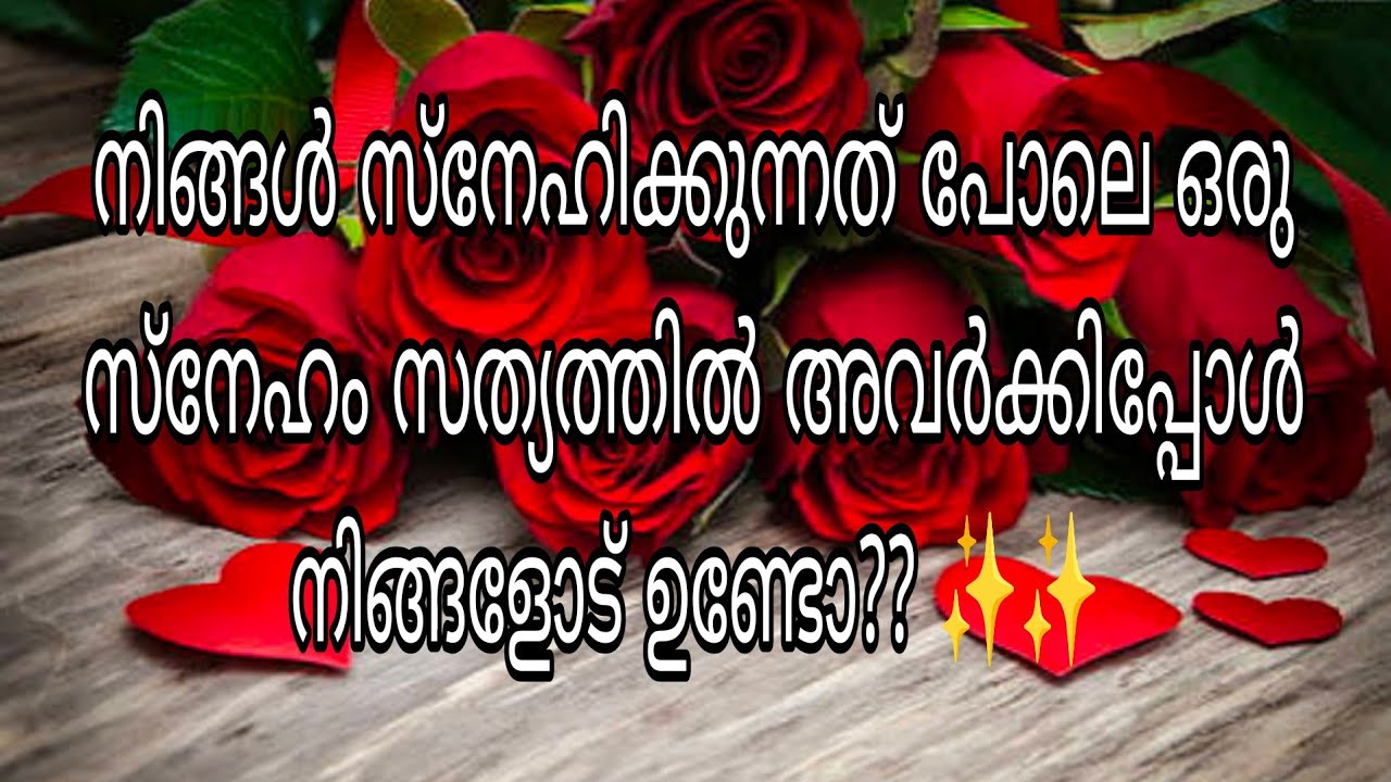 നിങ്ങൾ സ്നേഹിക്കുന്നത് പോലെ ഒരു സ്നേഹം സത്യത്തിൽ അവർക്കിപ്പോൾ നിങ്ങളോട് ഉണ്ടോ?? ✨✨