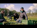 Seeds of Change: Tracking the Food System Transformation
