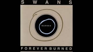 Swans – Power And Sacrifice