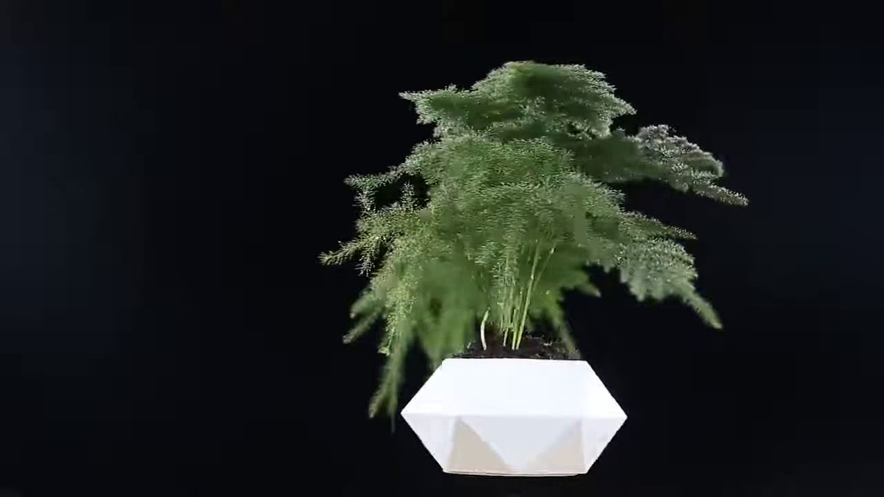 Levitating Plant Pot YouTube