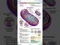 biology deep notes #education#notes#youtubeshorts#biology#neet#mbbs#science