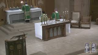 Tuesday Sixteenth Week in Ordinary Time