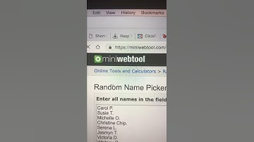 Random Name Picker