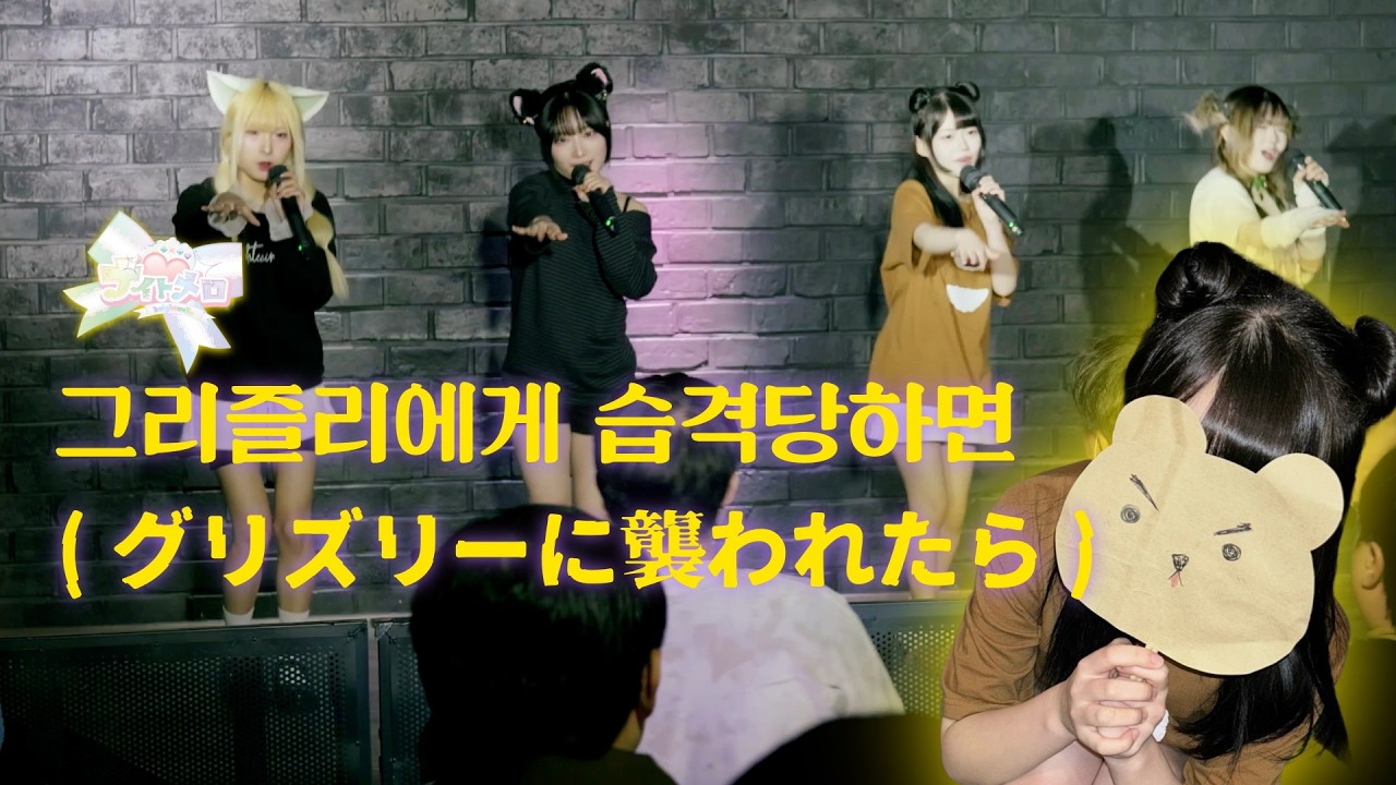 나이트멜로 (Knight Mello)| 神宿 - グリズリーに襲われたら♡ (COVER)  / 그리즐리에게 습격당한다면 / 가사  번역