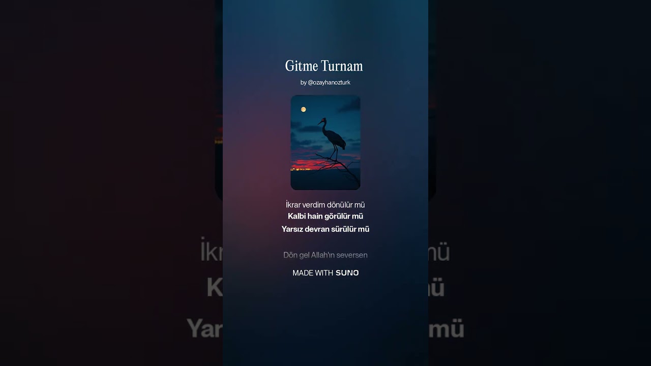 Gitme Turnam cover