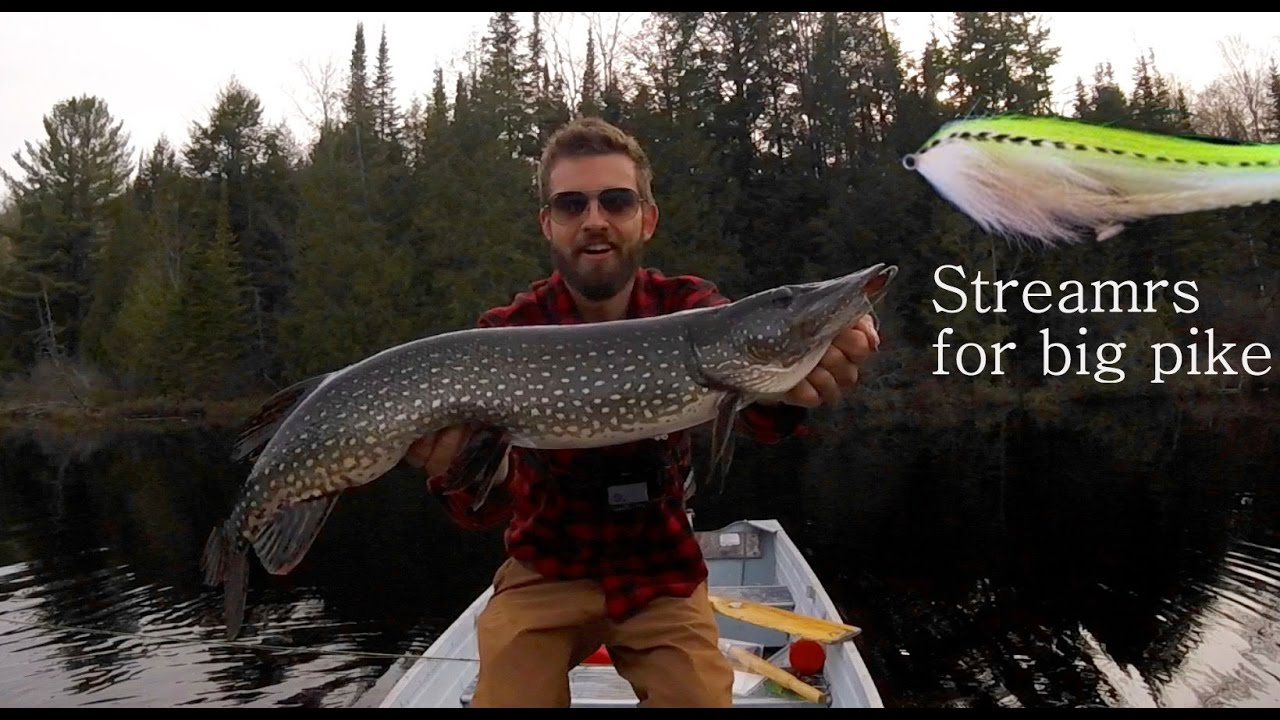 Reel of the Week: Kids Catching Pike on the Fly Rod - Flylords Mag