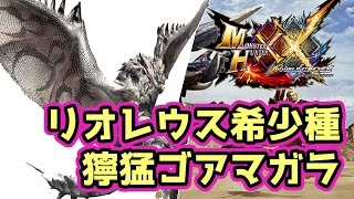 【MHXX実況】モンハンフェスタ東京6位の「リオレウス希少種」「獰猛ゴアマガラ」てつだってやくめでしょ【モンハンダブルクロス】