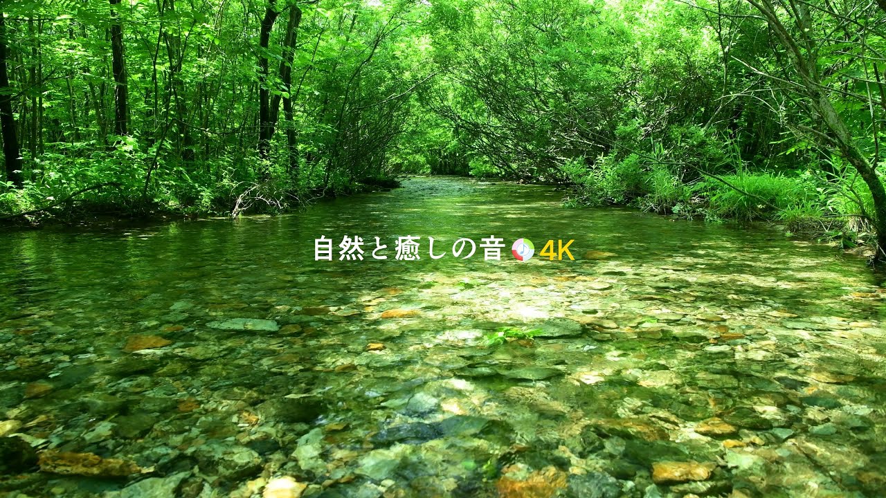【自然の音】緑の森林と小川のせせらぎ、癒し、睡眠、リラックス、作業用BGM/River Sound/stream/Nature Sounds ...