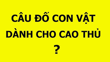 Câu đố về các con vật dành cho các cao thủ giải đố | câu hỏi hại não lắm