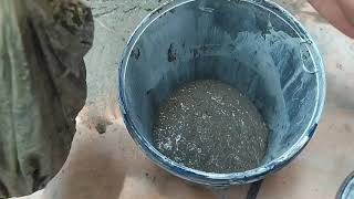 Membuat pot bunga dari semen (tiga dimensi)