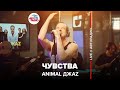 Animal ДжаZ - Чувства (LIVE @ Авторадио)
