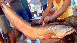 Amazing Fish In Bangladesh | Giant Wallago Attu Boal Fish Cutting Live In Fish Market
