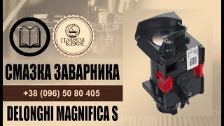 Обслуживание ПРОСТО. Смазка заварного блока (заварника, инфузора) Delonghi Magnifica S  22.110