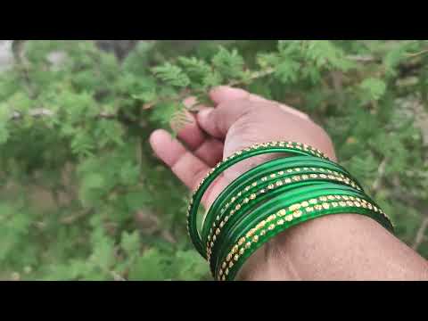 Savan ke mahine mein is paudhe ko aap apne ghar jarur lagaen