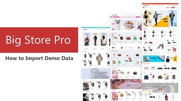 How to Import demo data In Big Store Pro