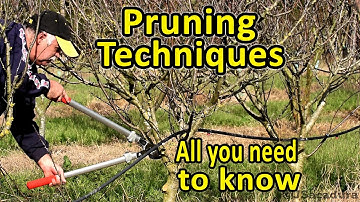 Pruning Fruit Trees | Pruning Techniques | Essential Pruning Course