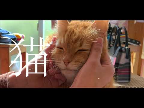 【女性キーで歌ってみた】full cover 猫_DISH//