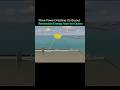 How constant wave motion becomes dependable renewable energy