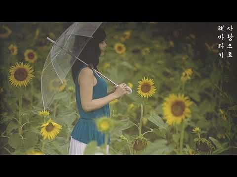 해바라기 사랑으로 가사첨부